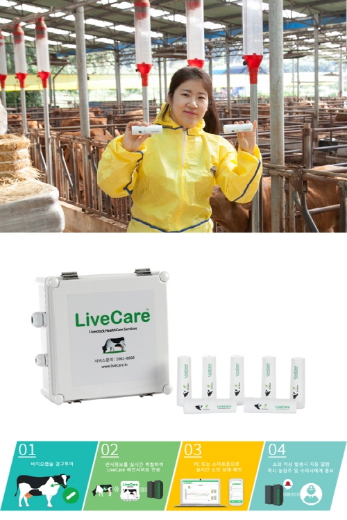 축산농가 불안 걱정, 라이브케어(LiveCare)가 덜어준다...(주)유라이크코리아 특허획득