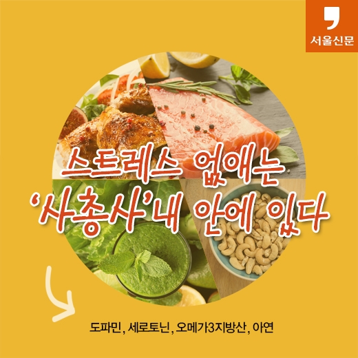 [카드뉴스] 살 안찌고 스트레스 날리는 ‘4총사’...내 안에 있다