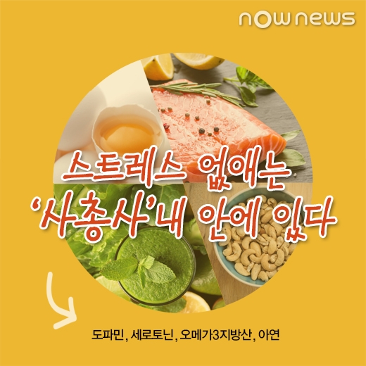 [카드뉴스] 먹어도 살 안찌고 스트레스 없애는 식품