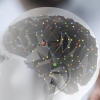 ‘인간 뇌’보다 뛰어난 인공지능 개발 착수 (美하버드)