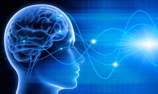 [와우! 과학] 2050년엔 인간 뇌 정보, 컴퓨터에 업로드 가능