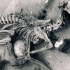 8000년 전 치른 개의 장례는 인간처럼 엄숙했다(연구)