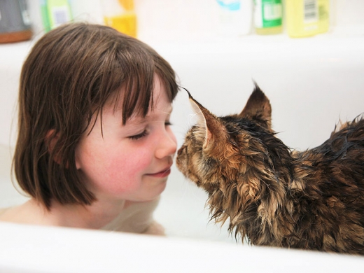 천재 자폐 소녀 마음 열어준 단짝 고양이는 누구?