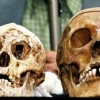 [와우! 과학] 난쟁이 ‘호빗’ 멸종은 5만년 전…현생 인류가 범인? (네이처)