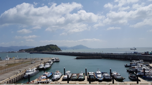 봄,봄,봄! 여수 오동도(梧桐島)와 순천만 국가정원