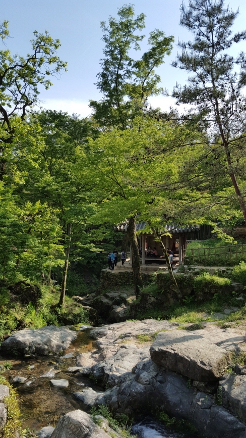 [윤기자의 20문답여행] 두꺼운 삶, 혹은 얇은 여행-담양(潭陽)