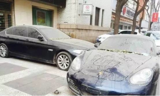 먼지 뿌연 포르쉐와 BMW…중국 졸부들의 기싸움