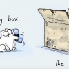 고양이 왜 너는 박스 안에 있는 것을 좋아하니?