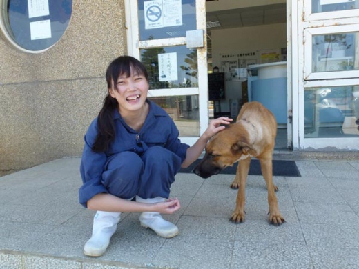 악플 시달리던 끝에…스스로 안락사 택한 女수의사