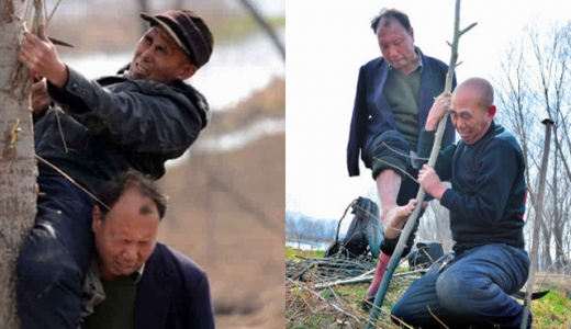 너는 내 눈, 나는 네 손…中장애인 우정으로 일군 나무 만 그루