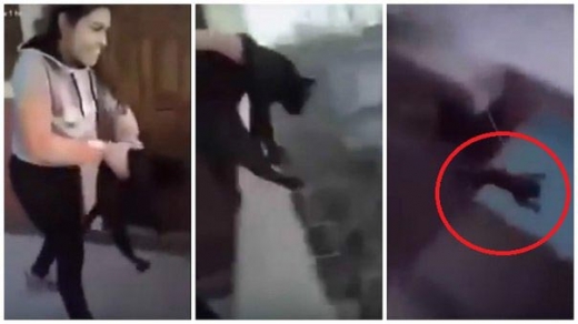 5층에서 고양이 내던진 여자, ‘낙법 실험’이었다고?