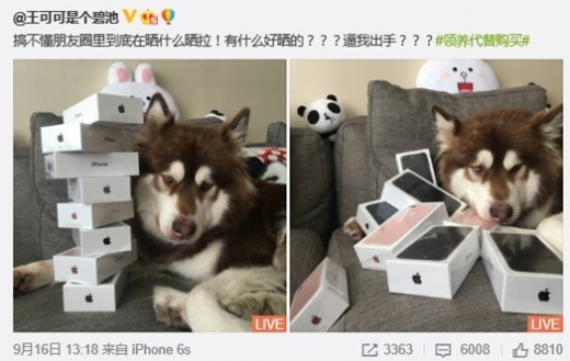 아이폰7 8개 가진 中 최고 금수저 개