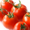 [알쏭달쏭+]토마토 보관 ‘냉장’ vs ‘실온’…정답은?