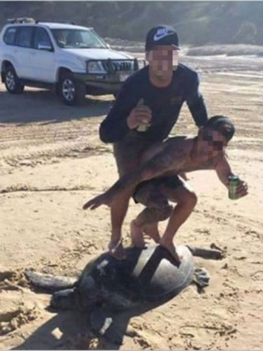 ‘거북 등 타고 서핑?’ …결국 숨지며 비난 쏟아져