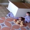 서랍장에 깔린 쌍둥이 형제 구하는 두 살 아기 (영상)