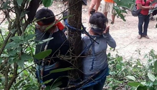 논란 된 아마존 사법자치권… ‘독개미 사형’?