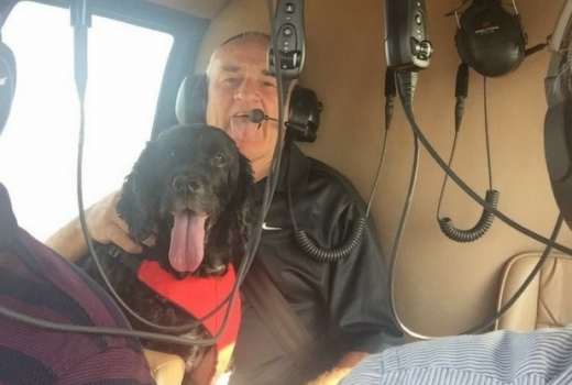 반려견 응급치료 한 번에 2000만원 쓴 주인