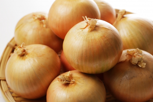“유기농 양파, 일반 양파보다 항산화물질 20% 많아”(연구)