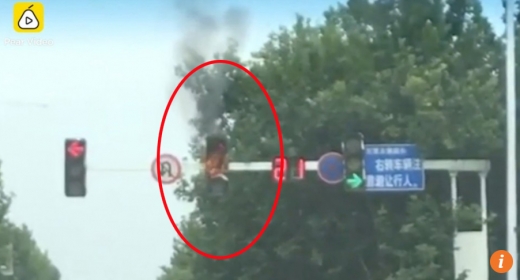 ‘덥냐, 나도 덥다’…폭염에 터져버린 신호등