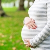 “임신 중 항균 비누 쓰면 태아에게 악영향”(연구)