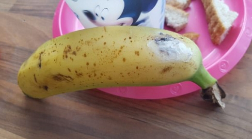 아기 주려고 마트서 산 바나나서 ‘독거미 알’이…
