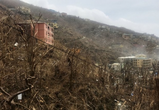 허리케인 ‘어마’ 틈타 탈옥한 죄수 100여명의 최후는?