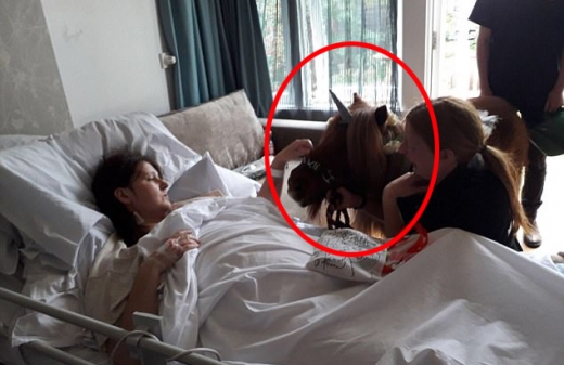 [월드피플+] 낯선 시한부 환자 소원 위해 ‘유니콘’ 만든 여성