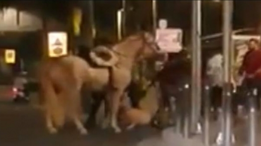 도심 한복판 말 타고 난동… ‘스페인 카우보이’ 체포