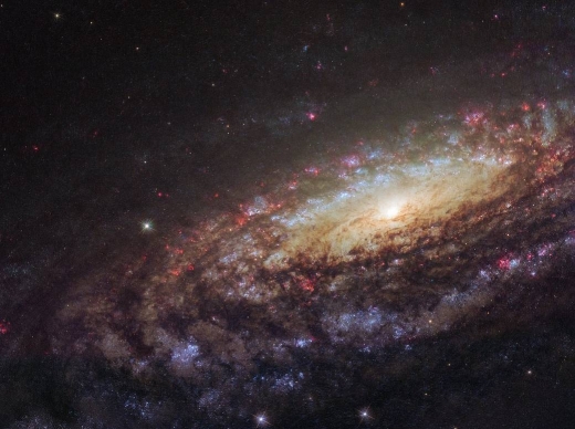 [우주를 보다] 미스터리 초신성 품고있는 은하 NGC 7331 포착