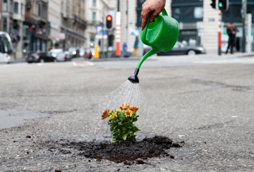 도로 한가운데 꽃 심기…벨기에 ‘꽃을 든 남자’의 시위