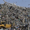 재활용 대란에 혁명?… ‘플라스틱 분해’ 효소 발견