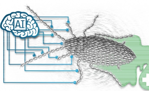 [여기는 중국] 한해 60억 마리 바퀴벌레 생산하는 中농장