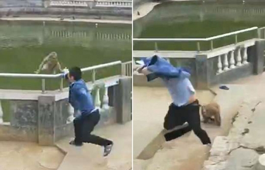 연못에 원숭이 밀어버린 中관광객, 원숭이 떼에 보복당해