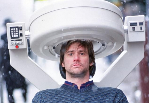 [와우! 과학] ‘이터널션샤인’ 현실화…달팽이→달팽이 ‘기억 이식’ 성공