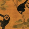 [와우! 과학] 2300년 전 진시황 할머니 무덤서 멸종 원숭이 발견