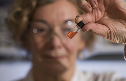 [와우! 과학] 역사상 가장 ‘오래된 컬러’는 ‘밝은 핑크’ (연구)