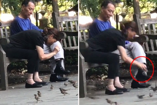 문화 차이? 美 공원에서 참새 생포하는 여성 논란 (영상)