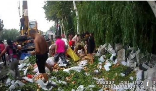 [여기는 중국] 사고 난 트럭서 쏟아진 복숭아 훔치는 주민들