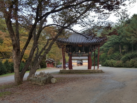 [윤기자의 콕 찍어주는 그곳] 쓸쓸한 가을바람에 괴로워 읊조리네 - 의성 고운사(孤雲寺)