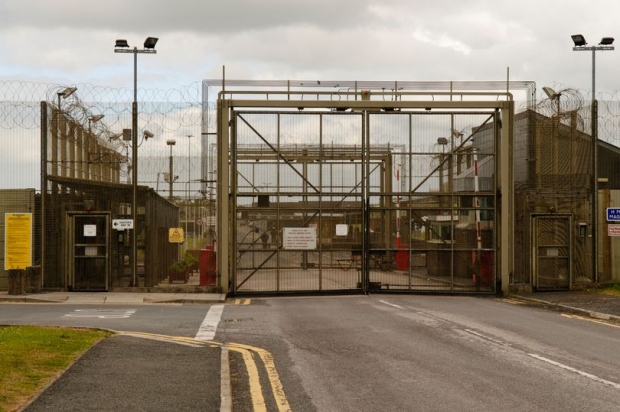 ‘생후 12일’ 갓난아기 강간한 혐의로 25세 男 체포