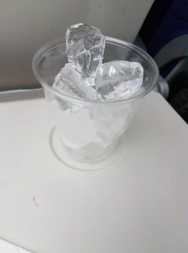 싱가포르 저가 항공사, 물 달라는 승객에 얼음주며 “녹여 드세요”