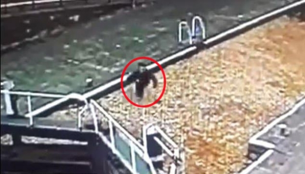 휴대전화에 정신팔려 걷다가…물에 빠진 남성 (영상)