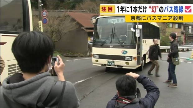 [여기는 일본] 1년에 단 1번 만 운행하는 버스노선 화제