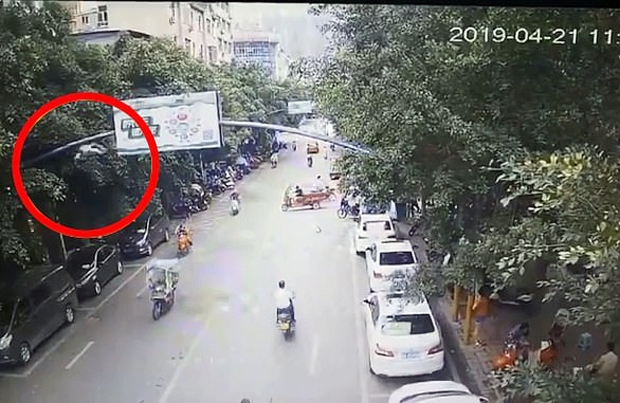 [여기는 중국] 하늘에서 거위가 뚝 떨어져…스쿠터 타던 여성 날벼락