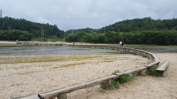 [윤기자의 콕 찍어주는 그곳] 외나무 다리, 세상과 이어주는 영주 무섬마을