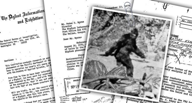 괴생명체 ‘빅풋’ 착시였나…FBI 조사 보고서 43년 만에 공개