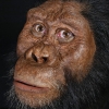 [핵잼 사이언스] 가장 오랜 직계조상…380만년전 원시인류 얼굴 복원