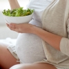 “채식 위주 식사, 태아 IQ 낮출 위험 있다” 전문가 경고