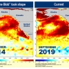 [와우! 과학] 북태평양서 새로운 ‘해양 열파’ 감지…5년 전 악몽 재현?