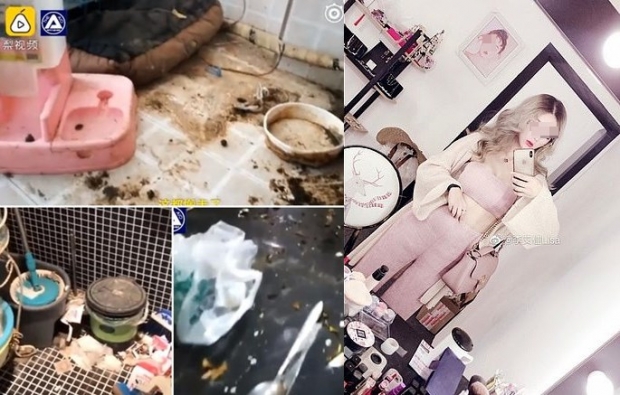 [여기는 중국] ‘럭셔리 삶’ 인기 SNS 스타, 알고보니 쓰레기 집서 살아
